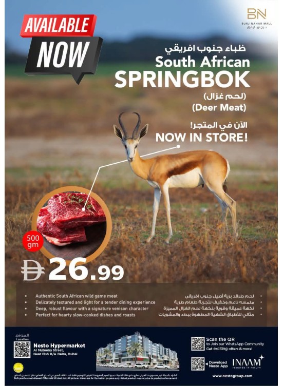 South African Springbok - Burj Nahar Mall, Dubai