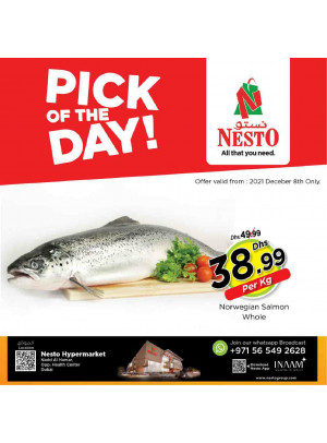 Pick Of The Day - Nadd Al Hamar