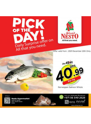 Pick Of The Day - Nadd Al Hamar