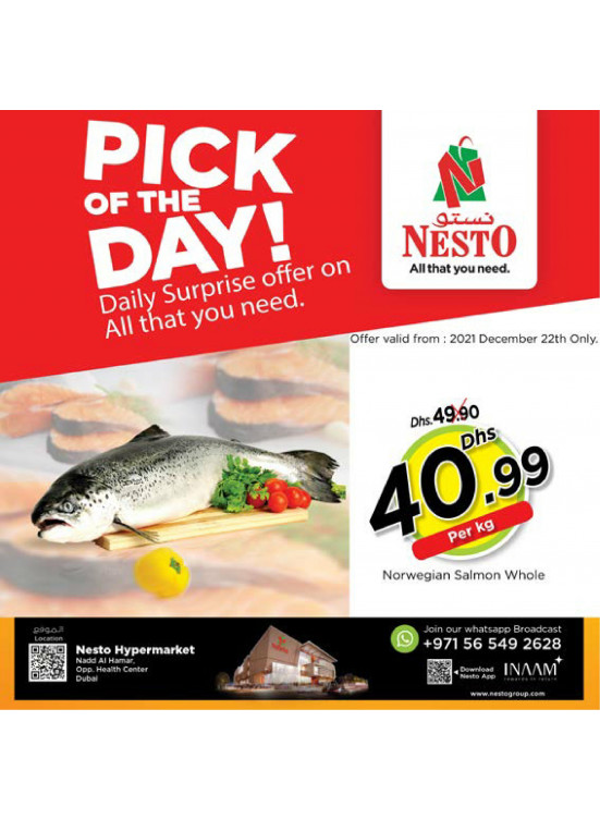 Pick Of The Day - Nadd Al Hamar
