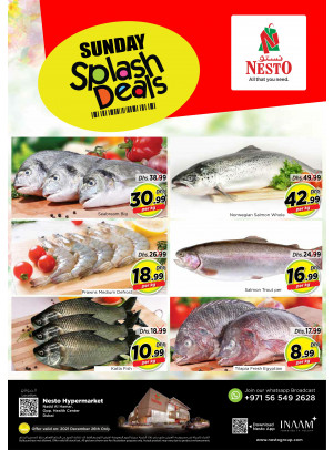 Splash Deals - Nadd Al Hamar