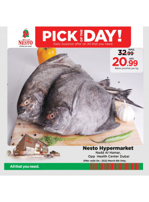 Pick Of The Day - Nadd Al Hamar