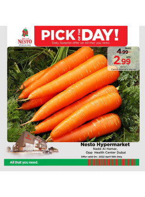 Pick Of The Day - Nadd Al Hamar