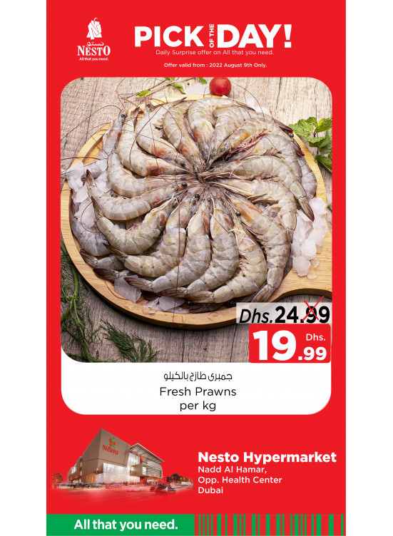 Pick Of The Day - Nadd Al Hamar