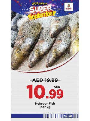 Pick Of The Day - Nadd Al Hamar