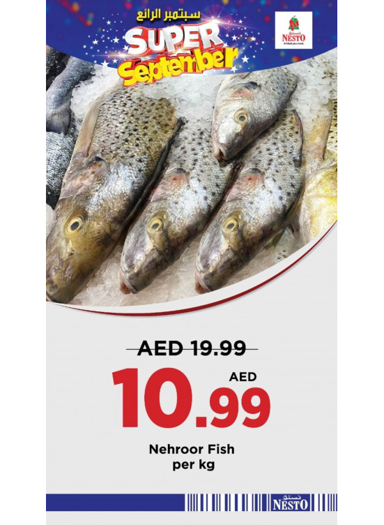 Pick Of The Day - Nadd Al Hamar