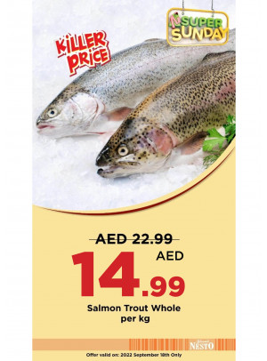 Super Sunday - Nadd Al Hamar