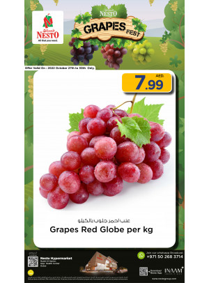 Grapes Fest - Nadd Al Hamar