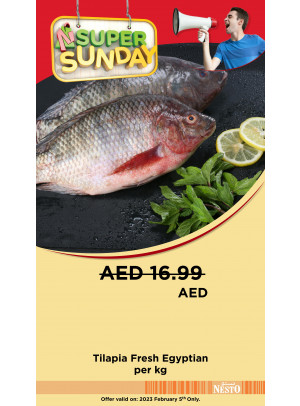 Super Sunday - Nadd Al Hamar