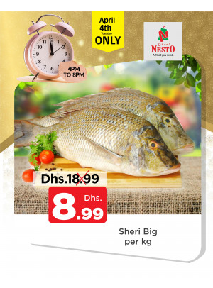 Pick Of The Day - Nadd Al Hamar