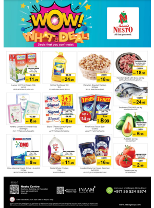 Midweek Deals - National Paints, Sharjah