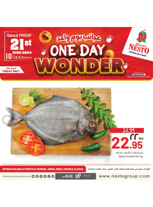 One Day Wonder - Al khobar, Jubail, Mina, Dabab & Al Hasa