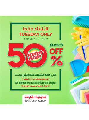Tuesday Only - 50% Off on Scotch Bright Products