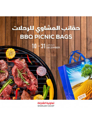 حقائب المشاوي للرحلات