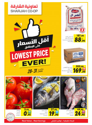 أقل الأسعار على الإطلاق