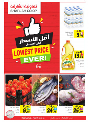 أقل الأسعار على الإطلاق