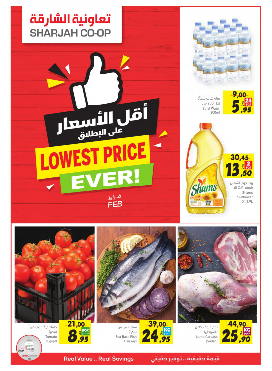 أقل الأسعار على الإطلاق