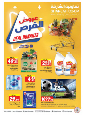 عروض الفرص