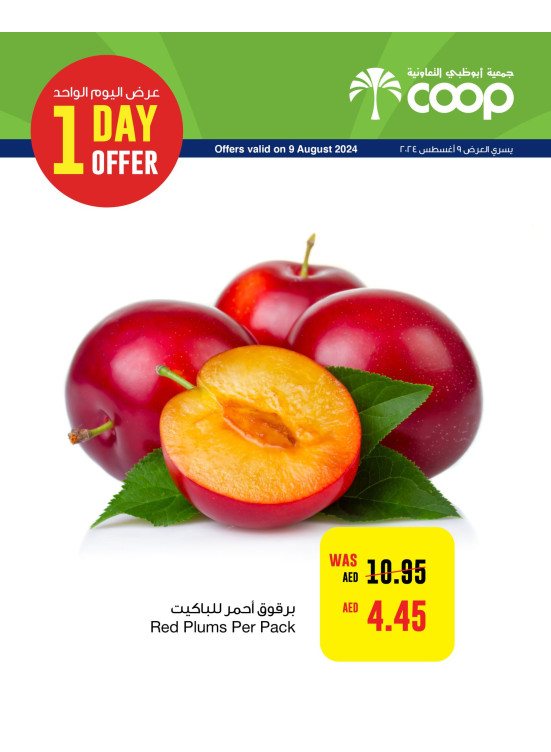 One Day Offer - Adcoops