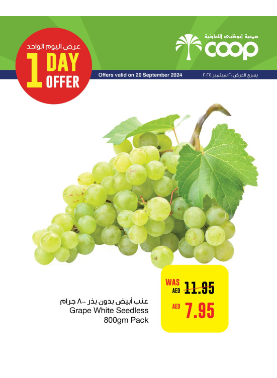 One Day Offer - Adcoops