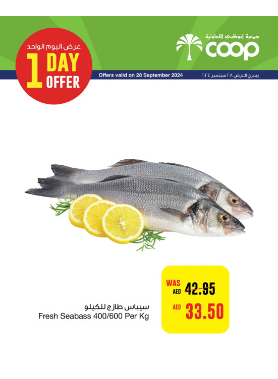 One Day Offer - Adcoops