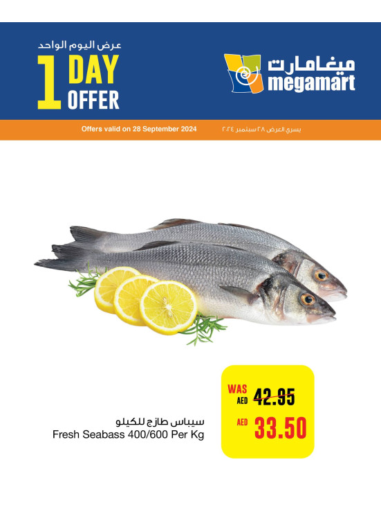 One Day Offer - Megamart