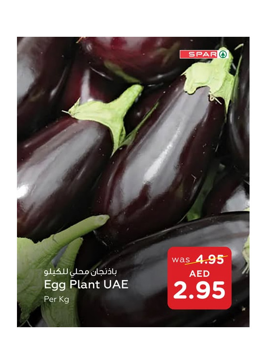 عروض طازجة - فروع سبار