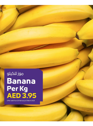 ميجا عروض - فروع الجمعية