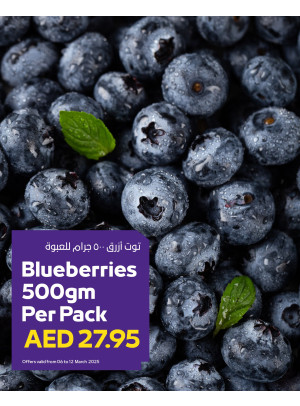 ميجا عروض - فروع الجمعية