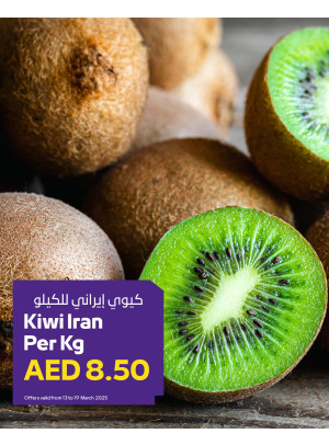 ميجا عروض - فروع الجمعية