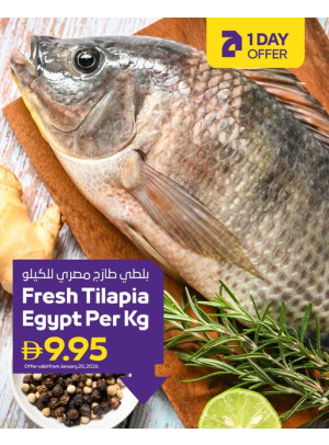 One Day Only - Adcoops