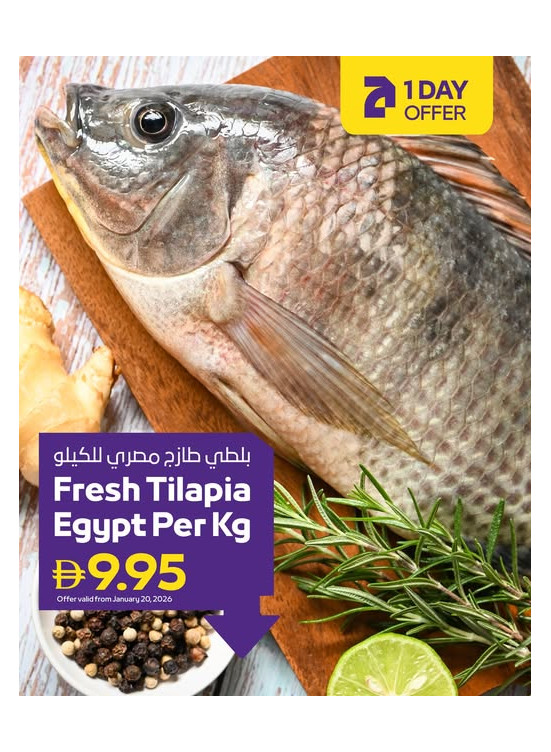 عروض ليوم واحد - فروع الجمعية