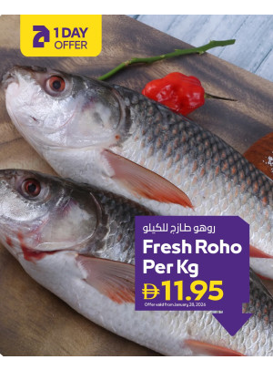 عروض ليوم واحد - فروع الجمعية