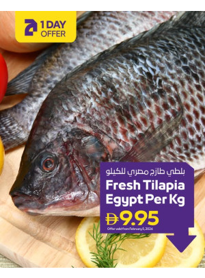 عروض ليوم واحد - فروع الجمعية