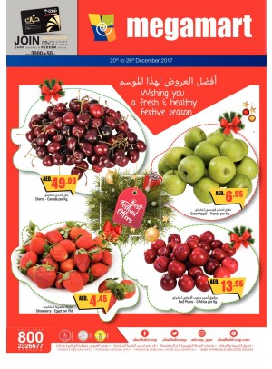 عروض موسم الأعياد - فروع ميغامارت