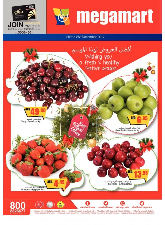 عروض موسم الأعياد - فروع ميغامارت
