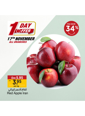 One Day Offer