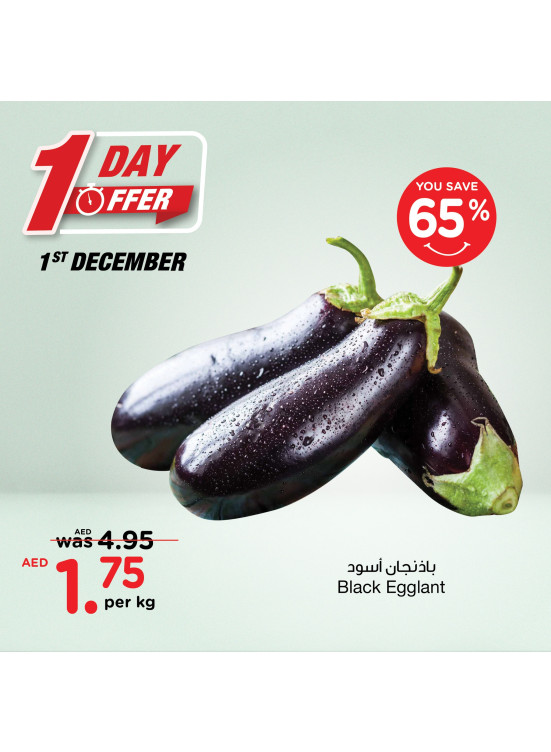 One Day Offer