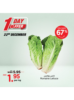 One Day Offer