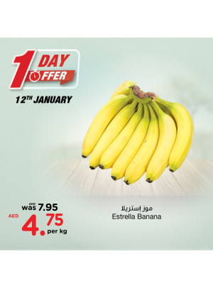 One Day Offer