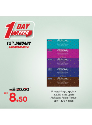 One Day Offer - Abu Dhabi