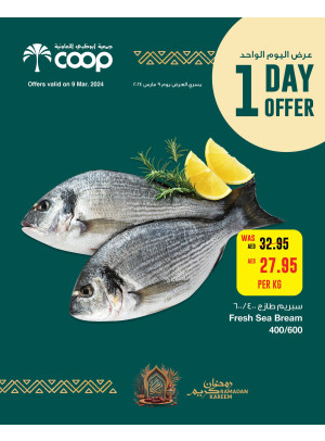 One Day Offer - Adcoops