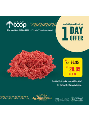 One Day Offer