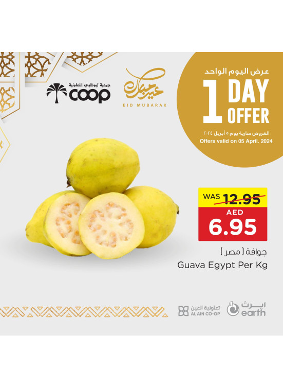 One Day Offer