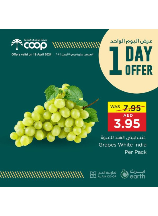 One Day Offer