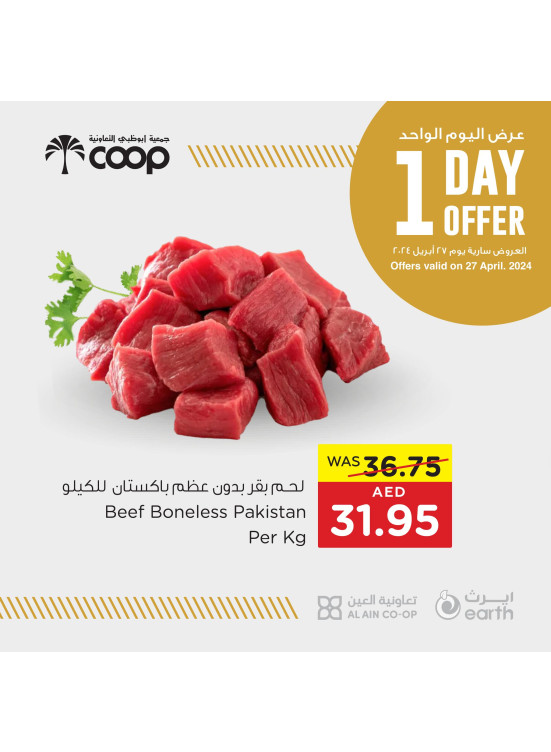 One Day Offer