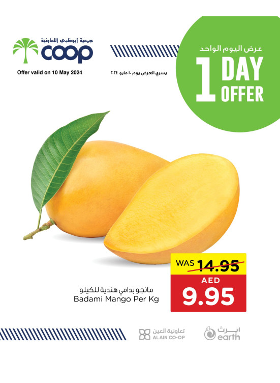 One Day Offer