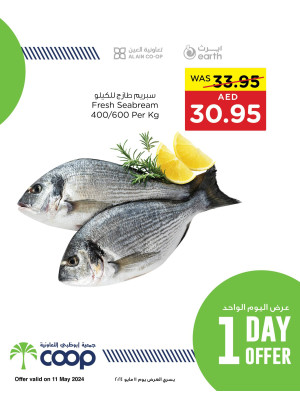 One Day Offer