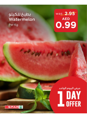 عرض لمدة يوم - فروع سبار