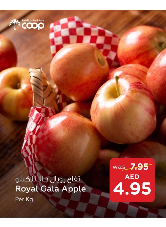 Summer Offers - Adcoops
